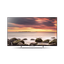 55" W800C Full HD TV 55" W800C Full HD TV