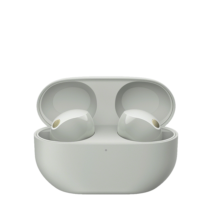 WF-1000XM5 Wireless Noise Cancelling Earbuds (Silver), , product-image