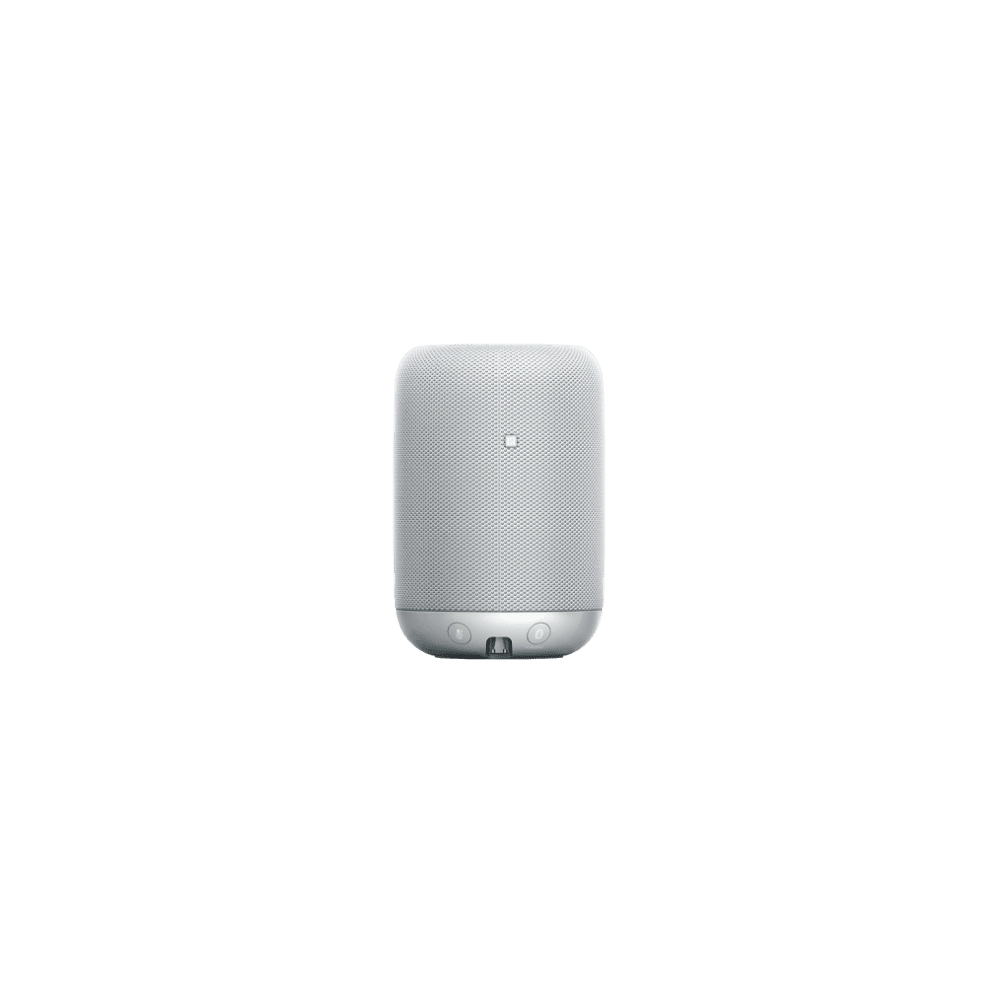 Sony google assistant cheap smart speaker