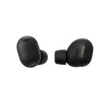 WF-1000XM6 The Best Noise Cancelling* Truly Wireless Earbuds (Black), , hi-res