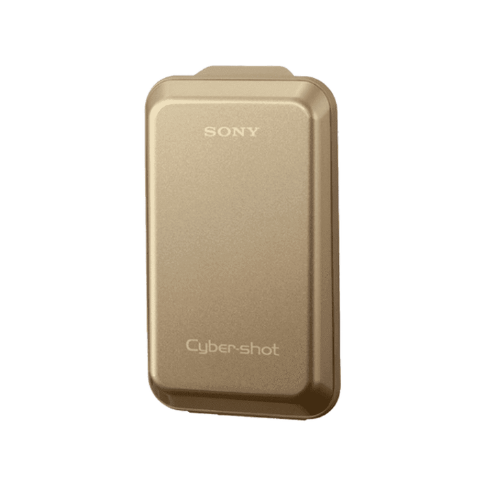 Hard Carrying Case (Gold), , product-image