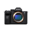 Alpha 7 V Full-Frame Hybrid Camera (Body Only)