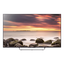 43" W800C Full HD TV 43" W800C Full HD TV