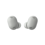 WF-1000XM6 The Best Noise Cancelling* Truly Wireless Earbuds (Platinum Silver), , hi-res