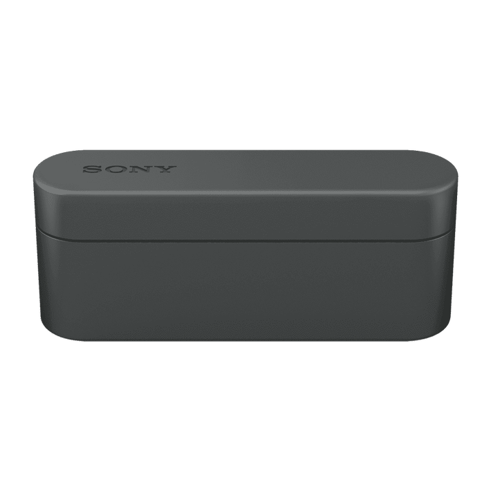 WF-1000X True Wireless Noise Cancelling Headphones (Black), , product-image