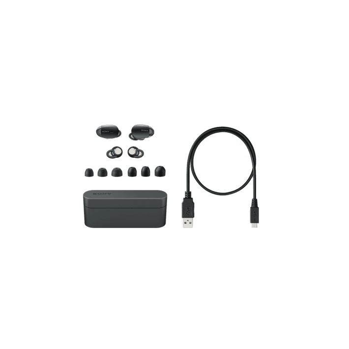 WF-1000X True Wireless Noise Cancelling Headphones (Black), , product-image