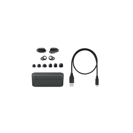 WF-1000X True Wireless Noise Cancelling Headphones (Black), , hi-res