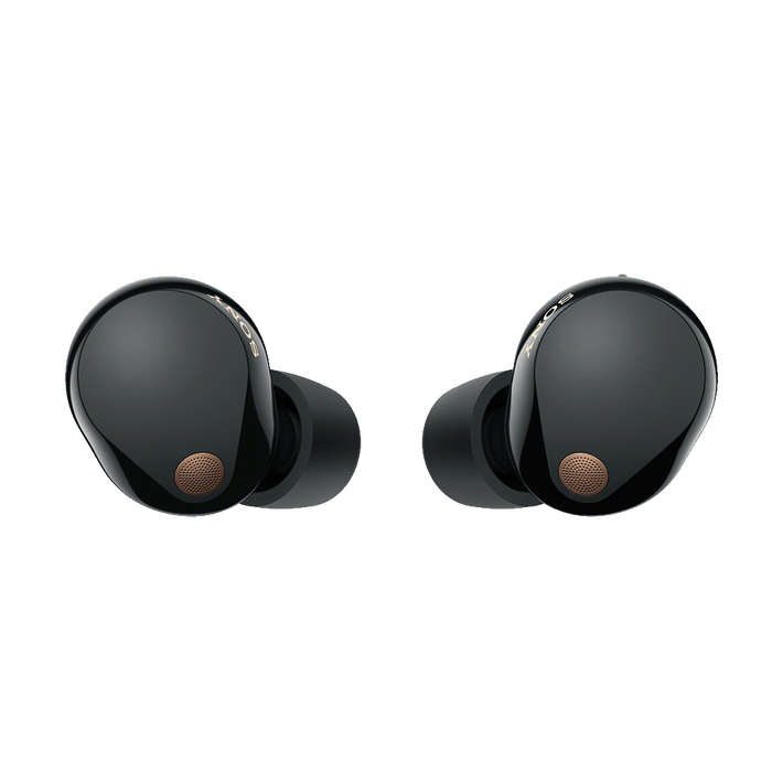 WF-1000XM5 Wireless Noise Cancelling Earbuds (Black),  WF-1000XM5 Wireless Noise Cancelling Earbuds (Black), , product-image