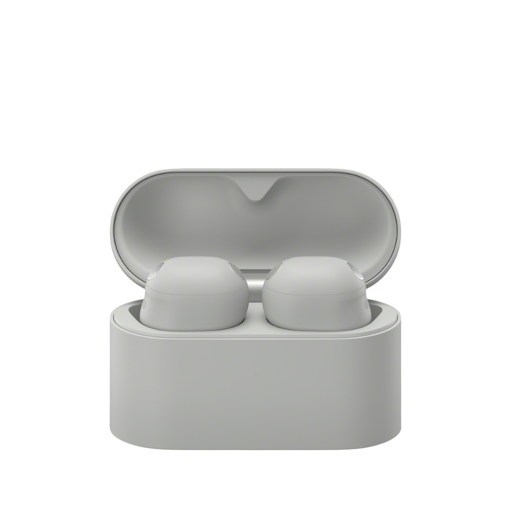 WF-1000XM6 The Best Noise Cancelling* Truly Wireless Earbuds (Platinum Silver), , product-image
