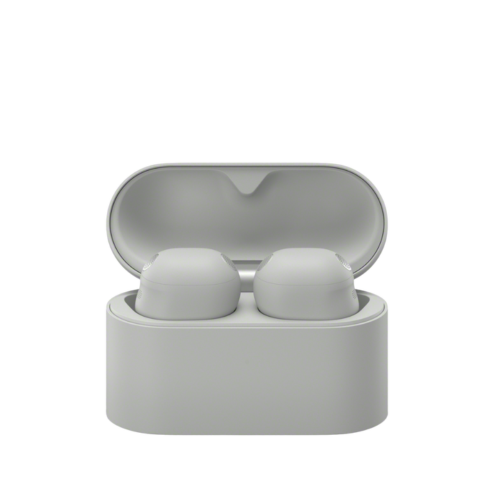 WF-1000XM6 The Best Noise Cancelling* Truly Wireless Earbuds (Platinum Silver), , product-image