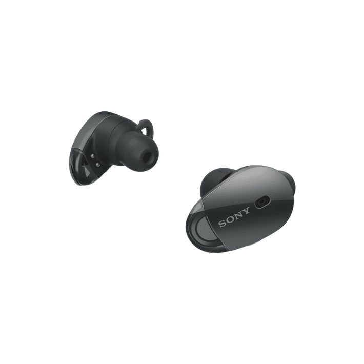 WF-1000X True Wireless Noise Cancelling Headphones (Black), , product-image