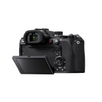 Sony RX10 V High-Zoom Camera, , hi-res