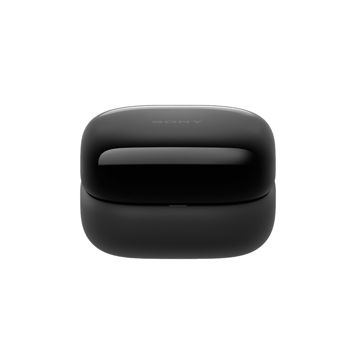 LinkBuds Open Truly Wireless Earbuds (Black), , product-image