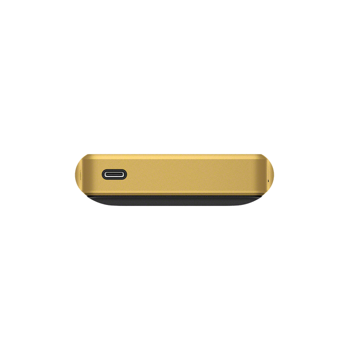 WM1ZM2 Walkman Signature Series,  WM1ZM2 Walkman Signature Series, , product-image