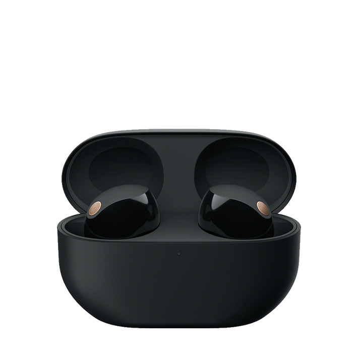 WF-1000XM5 Wireless Noise Cancelling Earbuds (Black),  WF-1000XM5 Wireless Noise Cancelling Earbuds (Black), , product-image