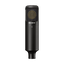 C-80 Uni-directional condenser microphone