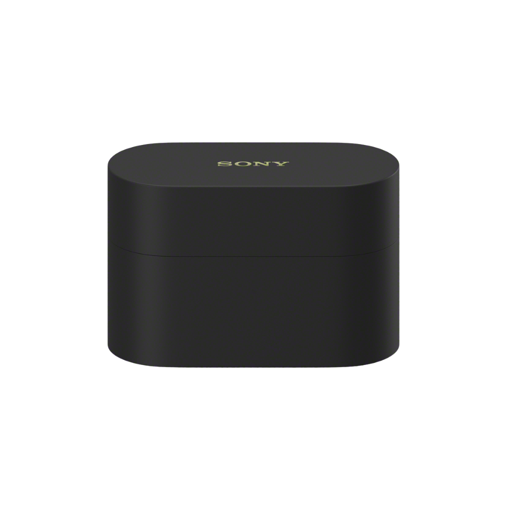 WF-1000XM6 The Best Noise Cancelling* Truly Wireless Earbuds (Black), , product-image