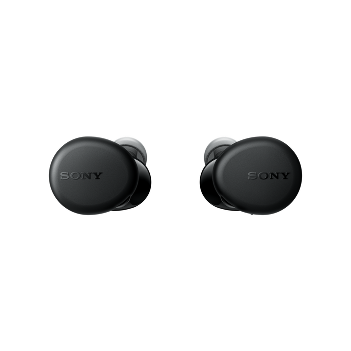 WF-XB700 Truly Wireless Headphones with EXTRA BASS (Black), , product-image