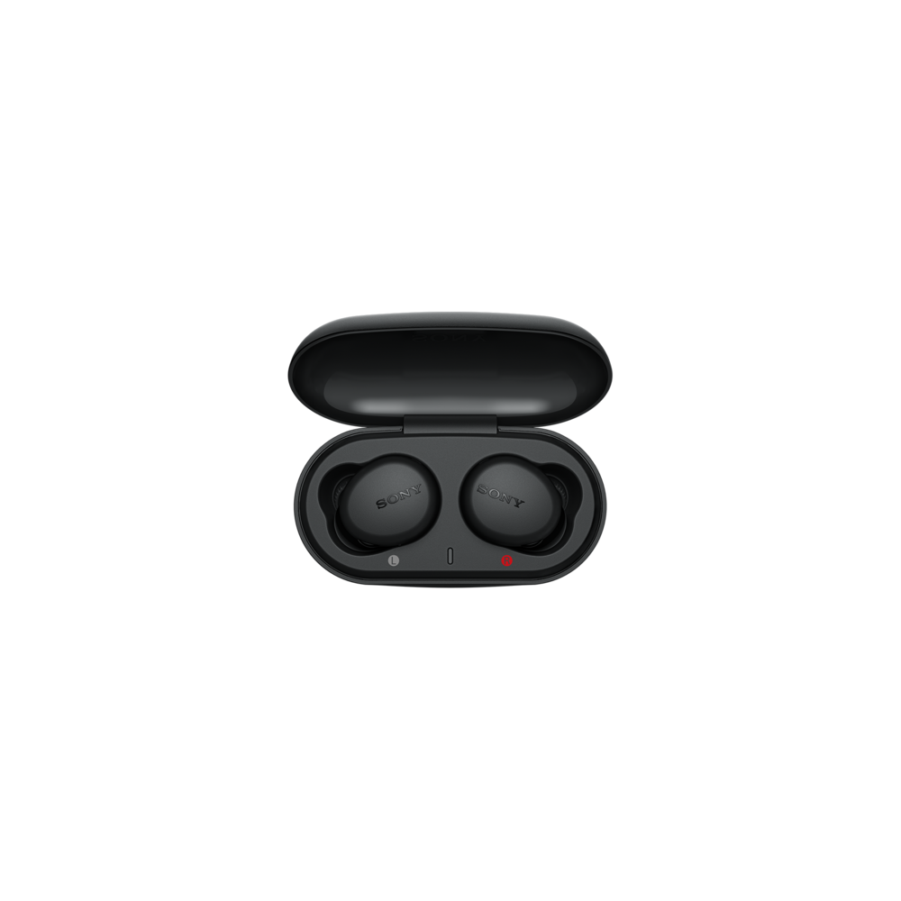WF-XB700 Truly Wireless Headphones with EXTRA BASS (Black), , product-image