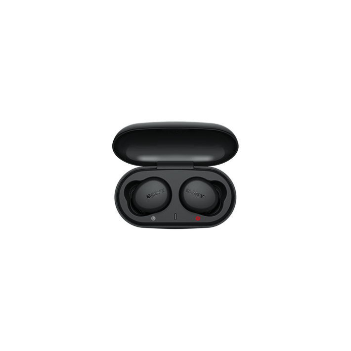 WF-XB700 Truly Wireless Headphones with EXTRA BASS (Black), , product-image