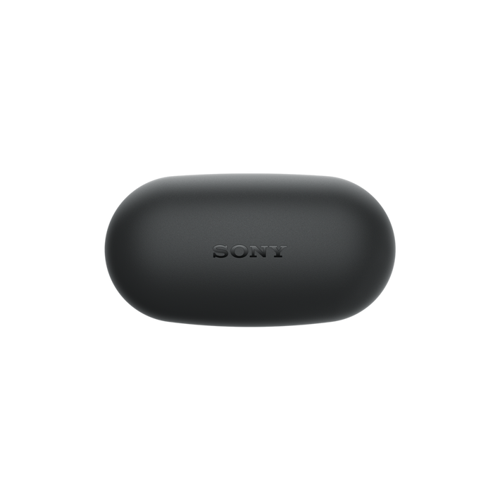 WF-XB700 Truly Wireless Headphones with EXTRA BASS (Black), , product-image