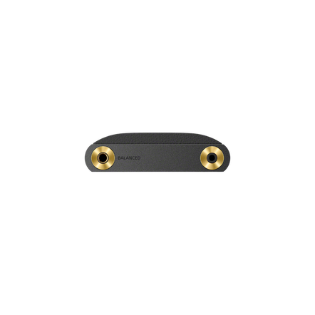 NW-WM1AM3 Premium High-Resolution Walkman, , hi-res