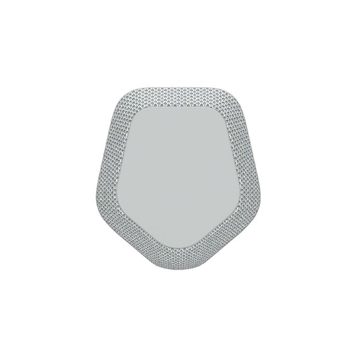 XE300 X-Series Portable Wireless Speaker (Grey), , product-image