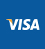 Visa Payments